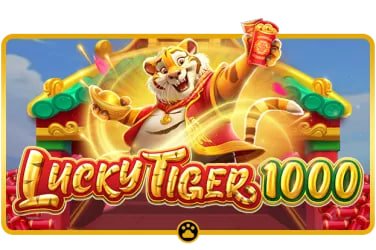 bet70 win